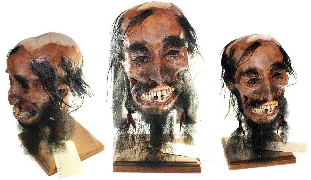La tête momifiée de Barbe-Noire le pirate